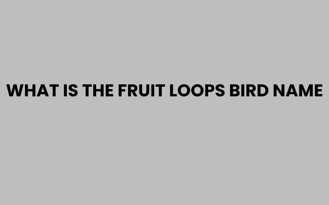 what is the fruit loops bird name