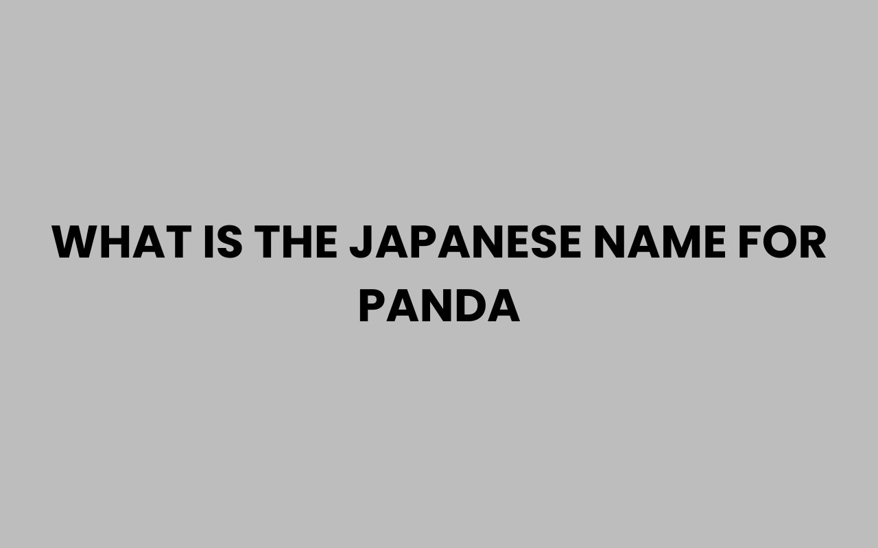 what is the japanese name for panda