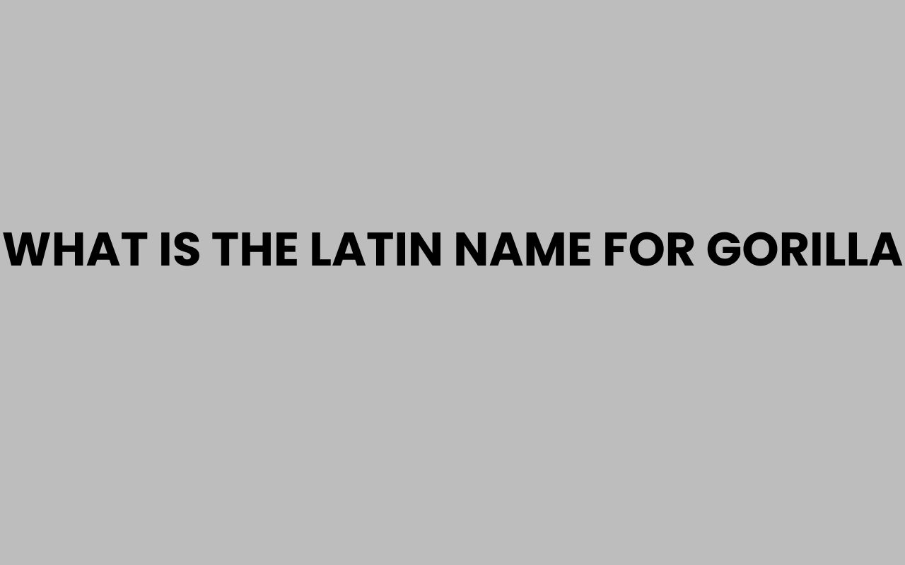 what is the latin name for gorilla