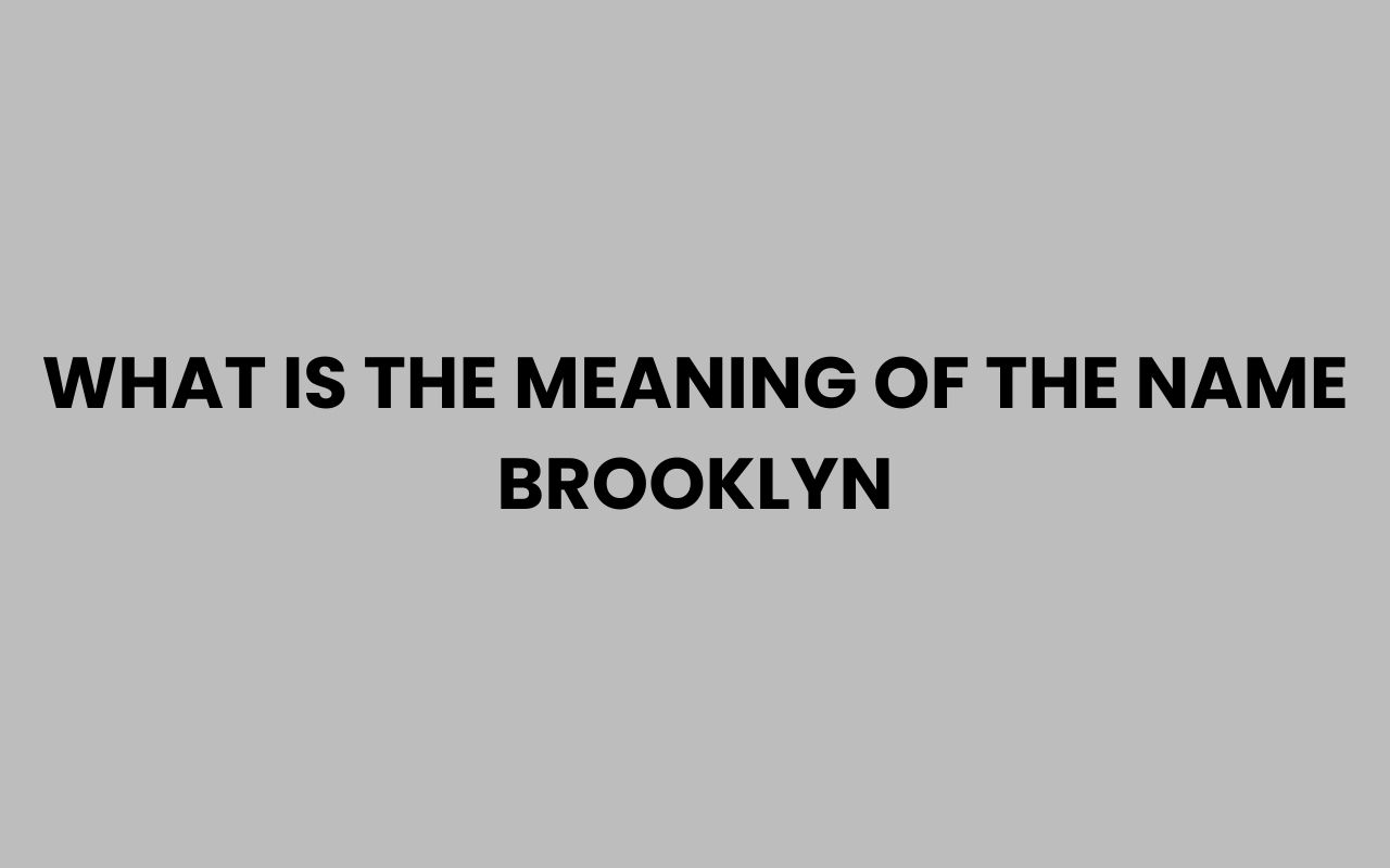 what is the meaning of the name brooklyn