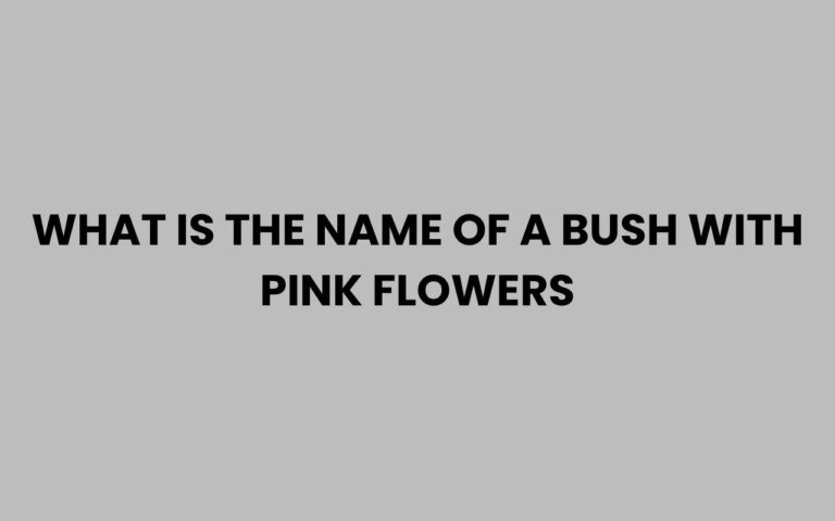 What Is the Name of a Bush with Pink Flowers? Find Out!