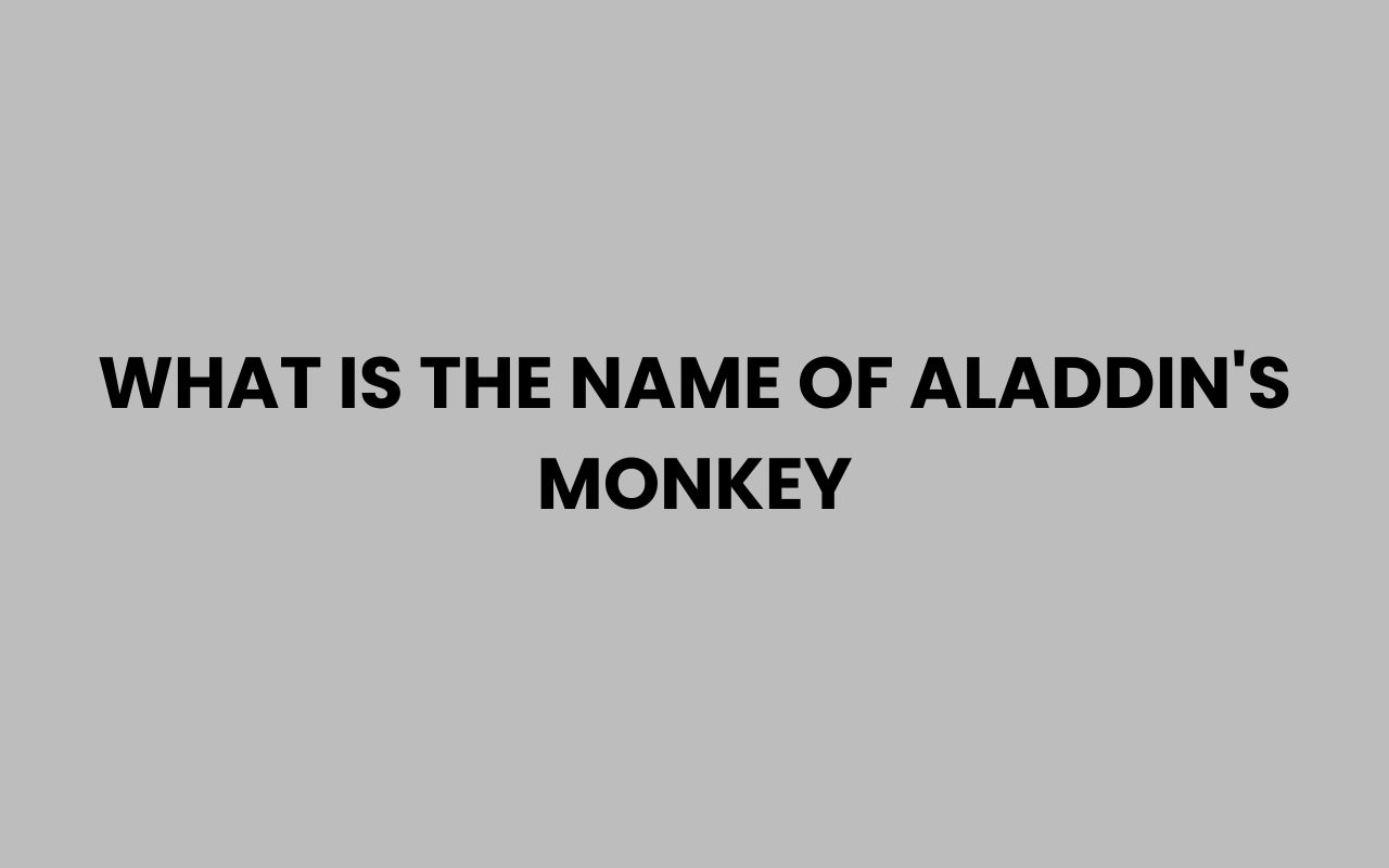 what is the name of aladdins monkey