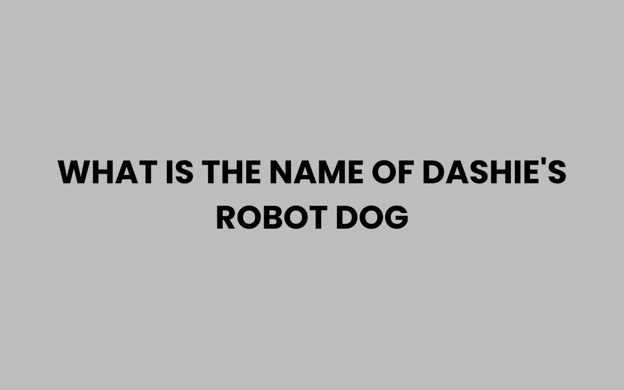 what is the name of dashies robot dog