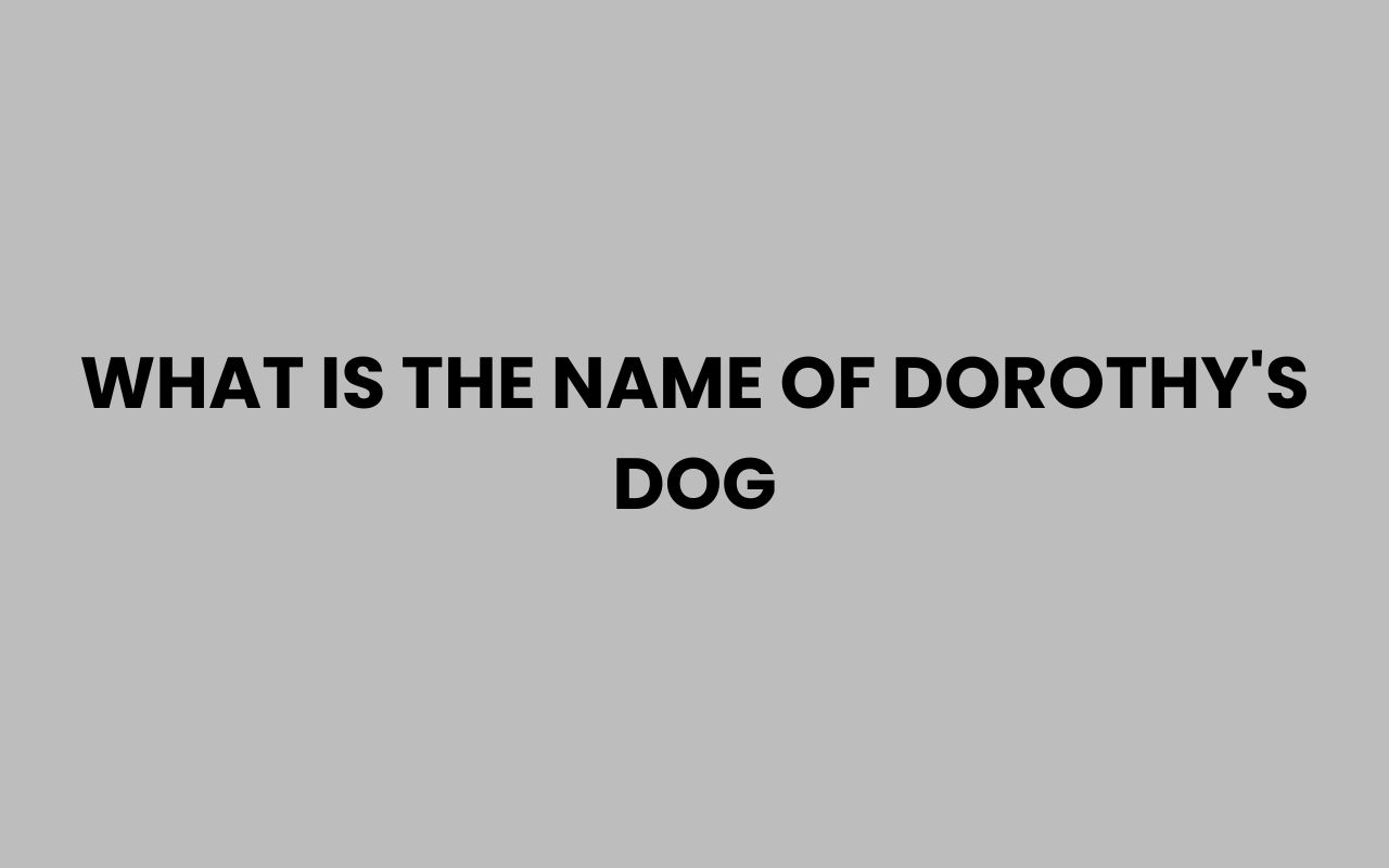 what is the name of dorothys dog