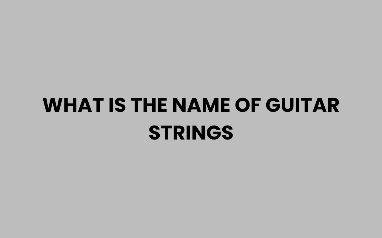 what is the name of guitar strings