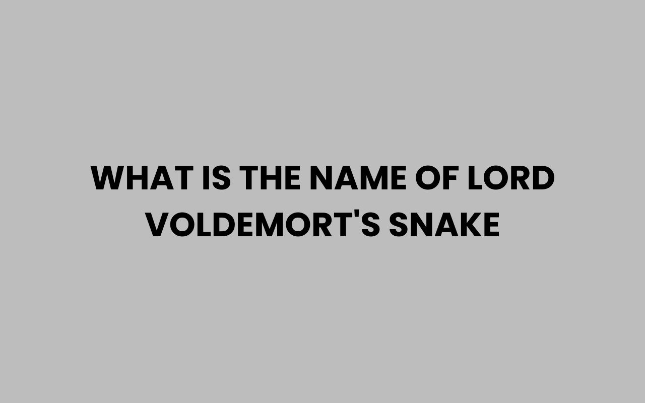 what is the name of lord voldemorts snake
