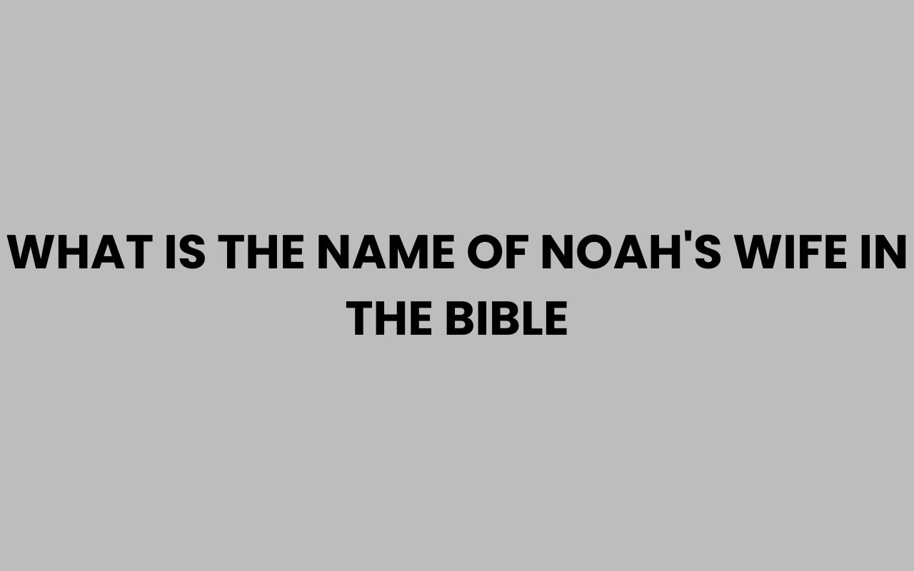 what is the name of noahs wife in the bible