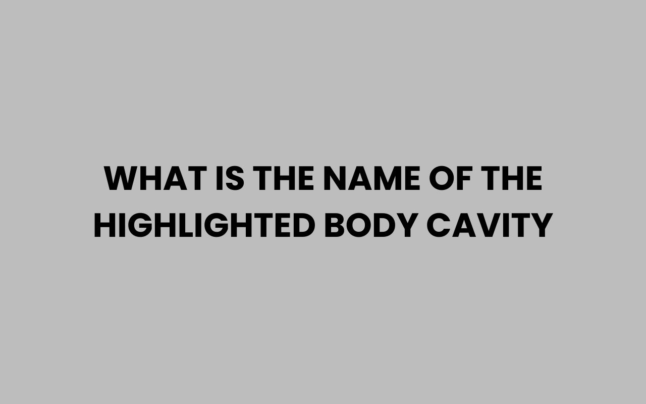 what is the name of the highlighted body cavity