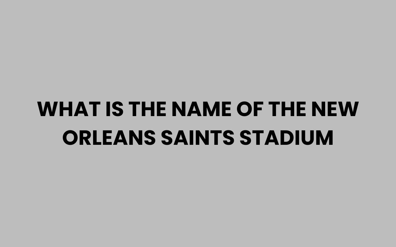 what is the name of the new orleans saints stadium