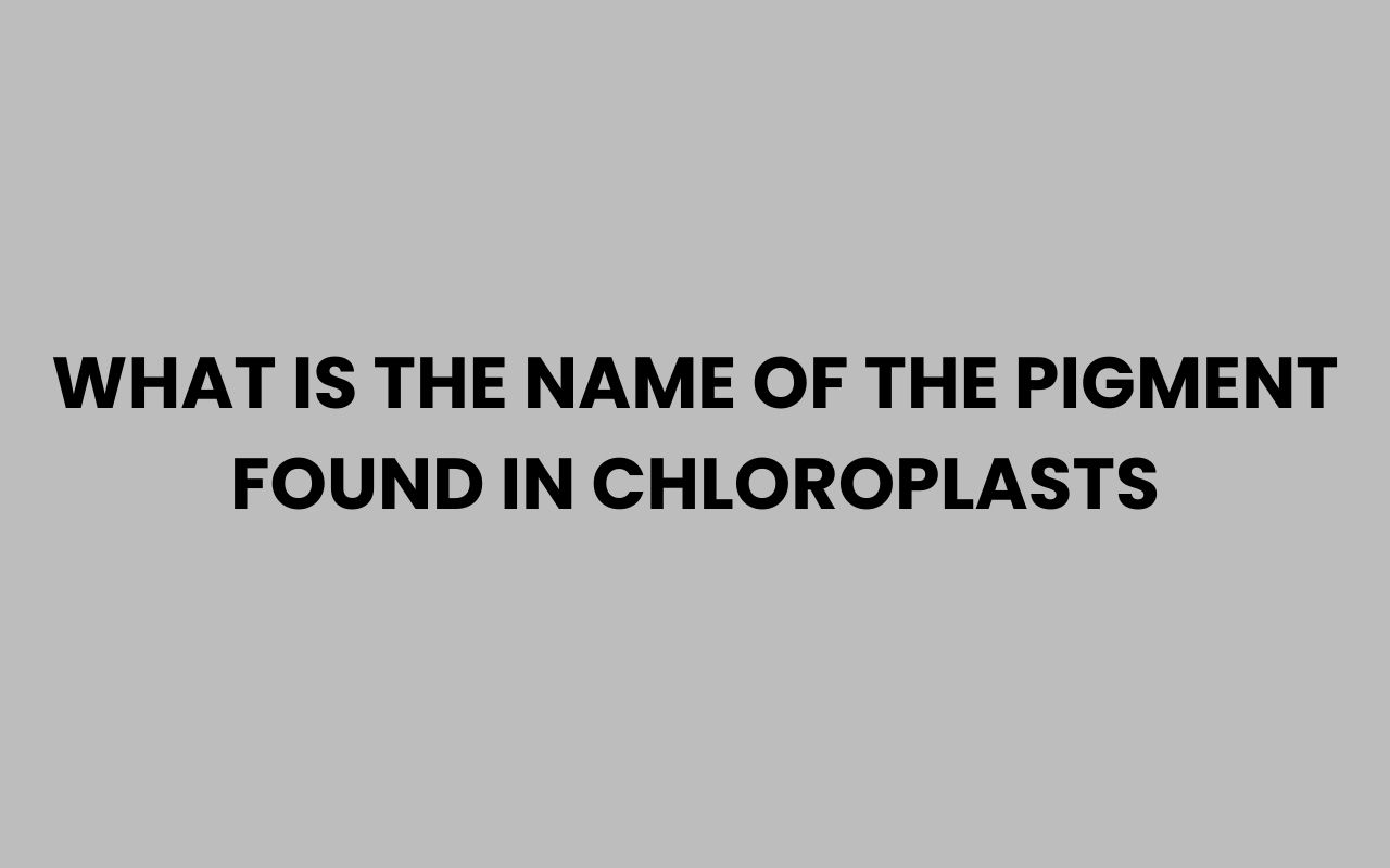 what is the name of the pigment found in chloroplasts