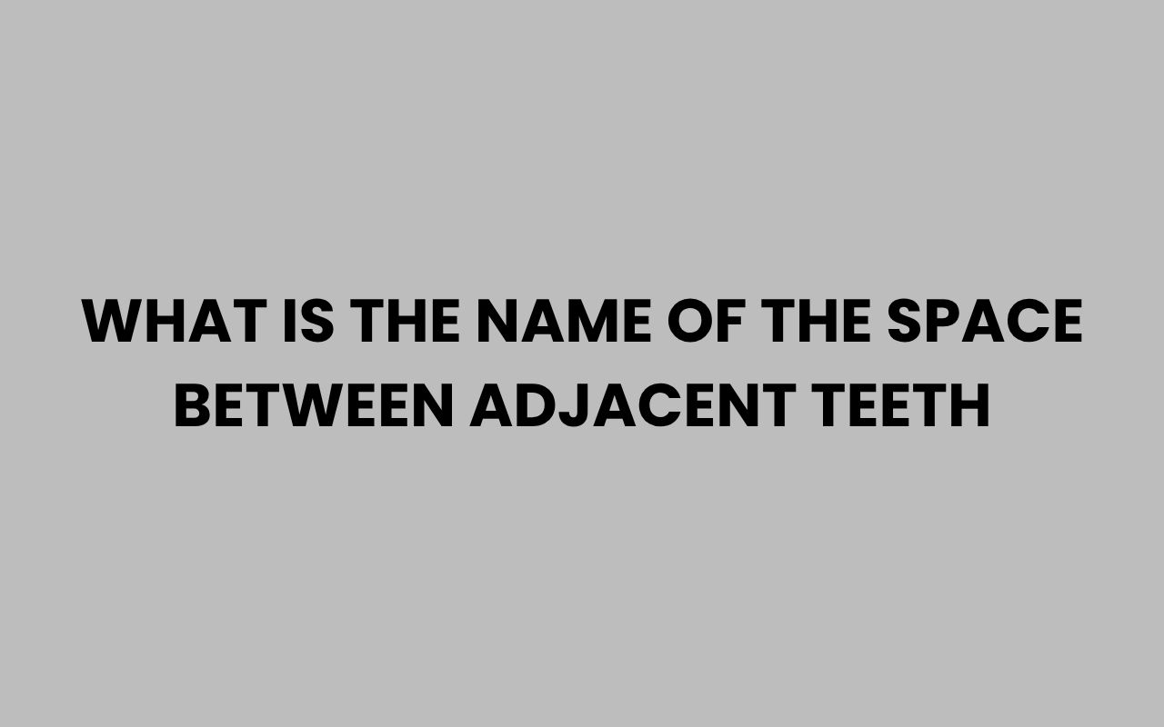 what is the name of the space between adjacent teeth