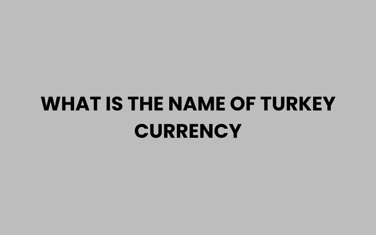 what is the name of turkey currency