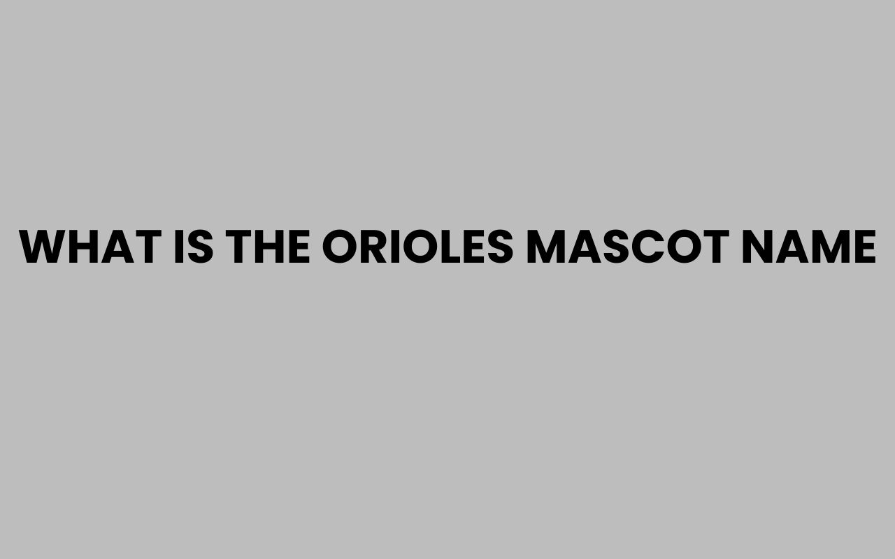what is the orioles mascot name