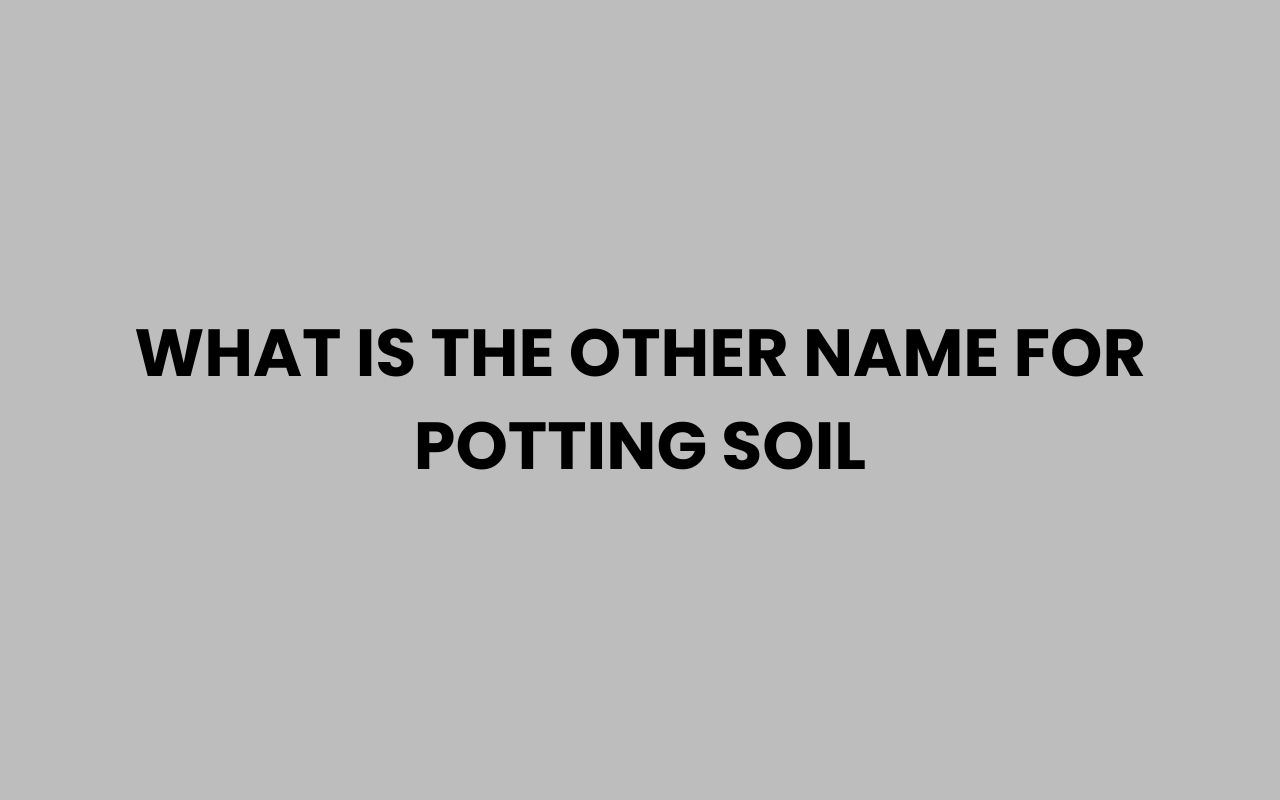 what is the other name for potting soil