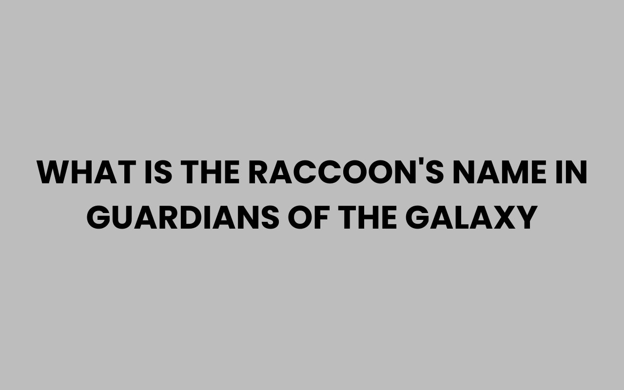 what is the raccoons name in guardians of the