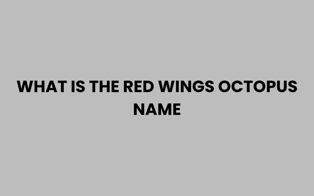what is the red wings octopus name