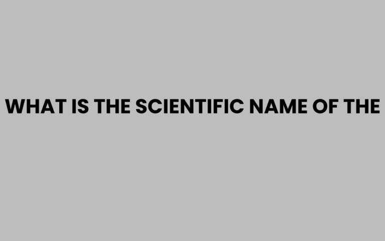 Scientefic Names What is the Scientific Name of the Most Common Animals?