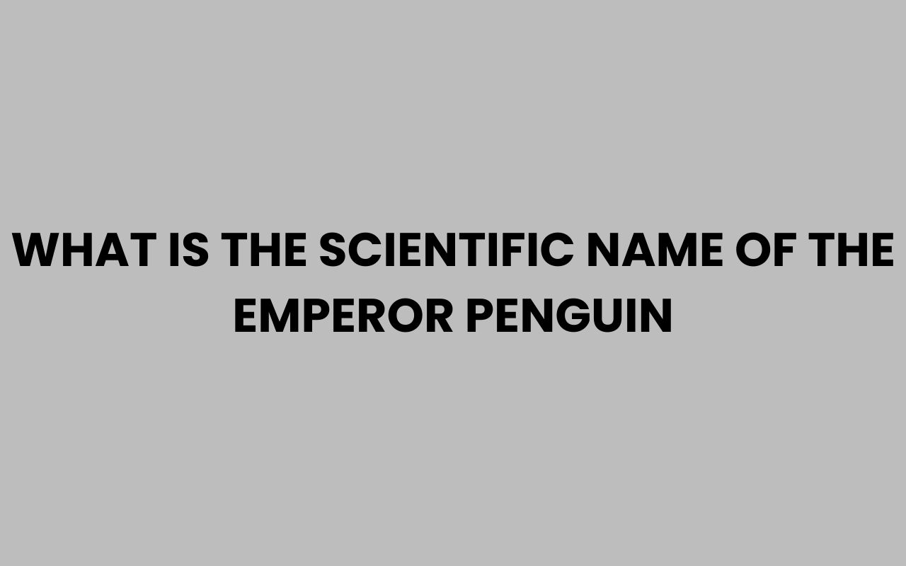 what is the scientific name of the emperor penguin