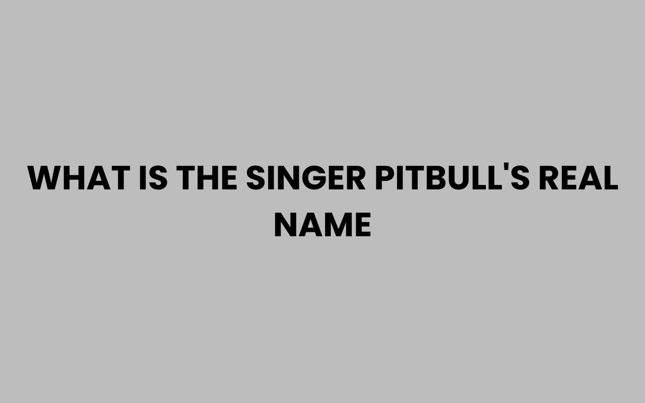 what is the singer pitbulls real name