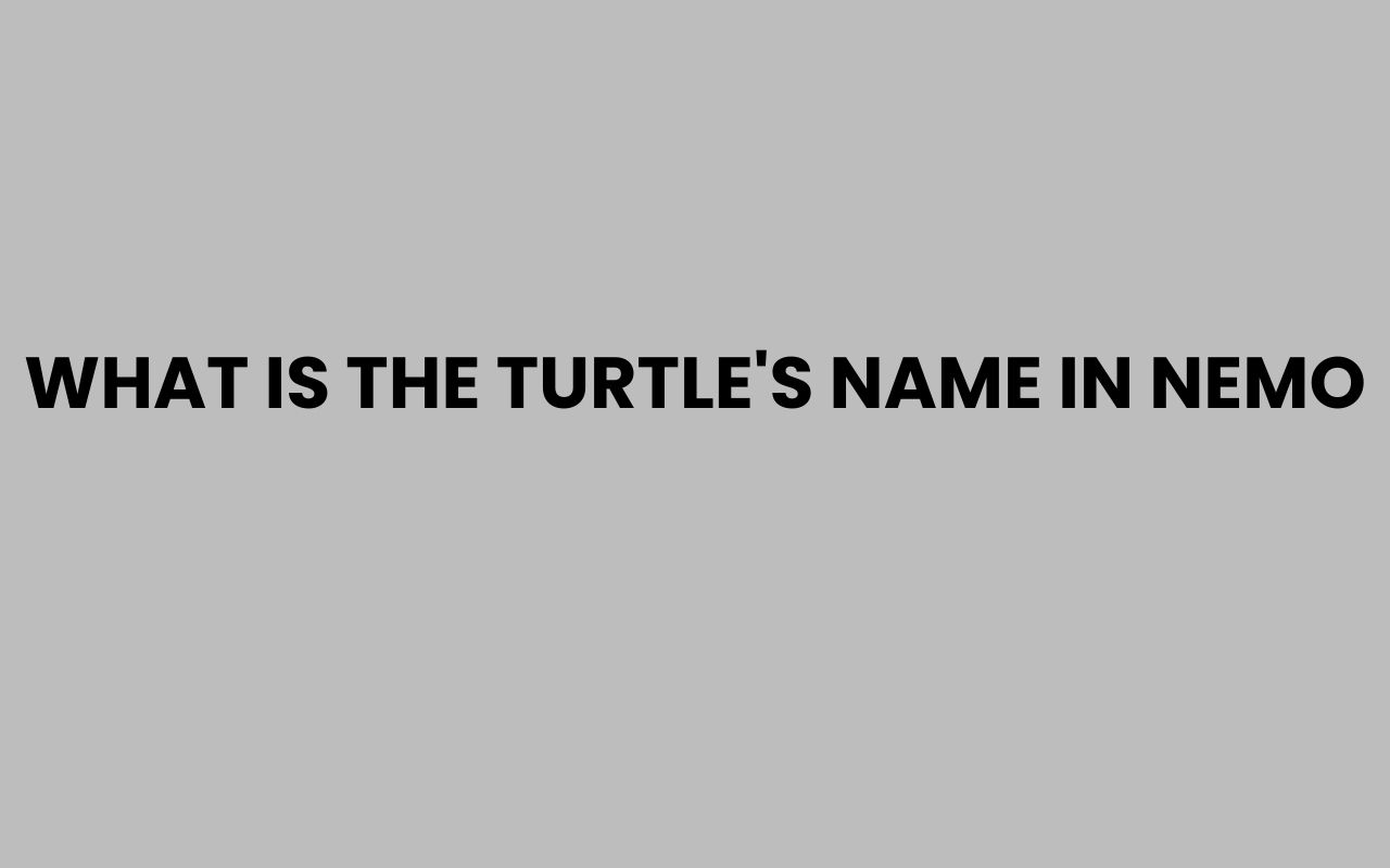 what is the turtles name in nemo
