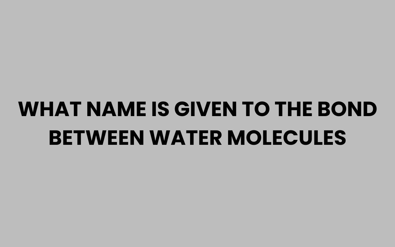 what name is given to the bond between water molecules