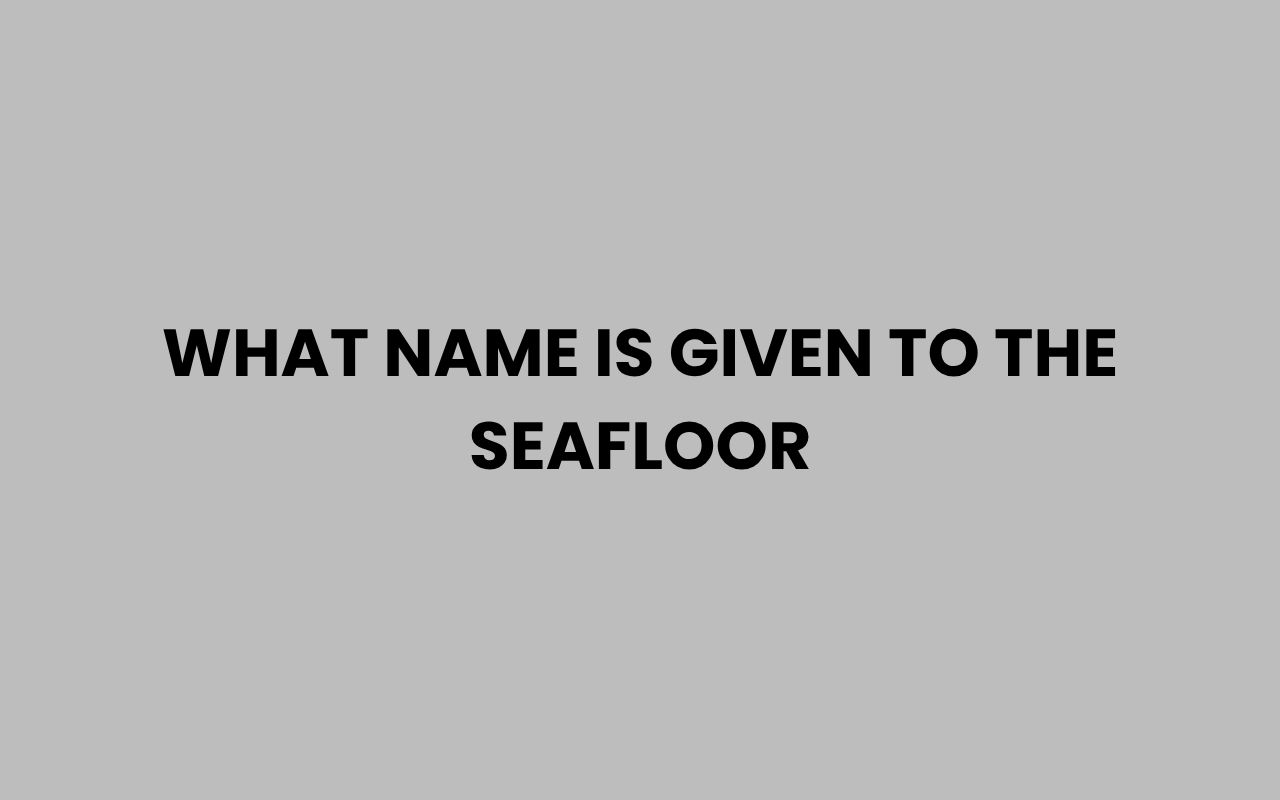 what name is given to the seafloor