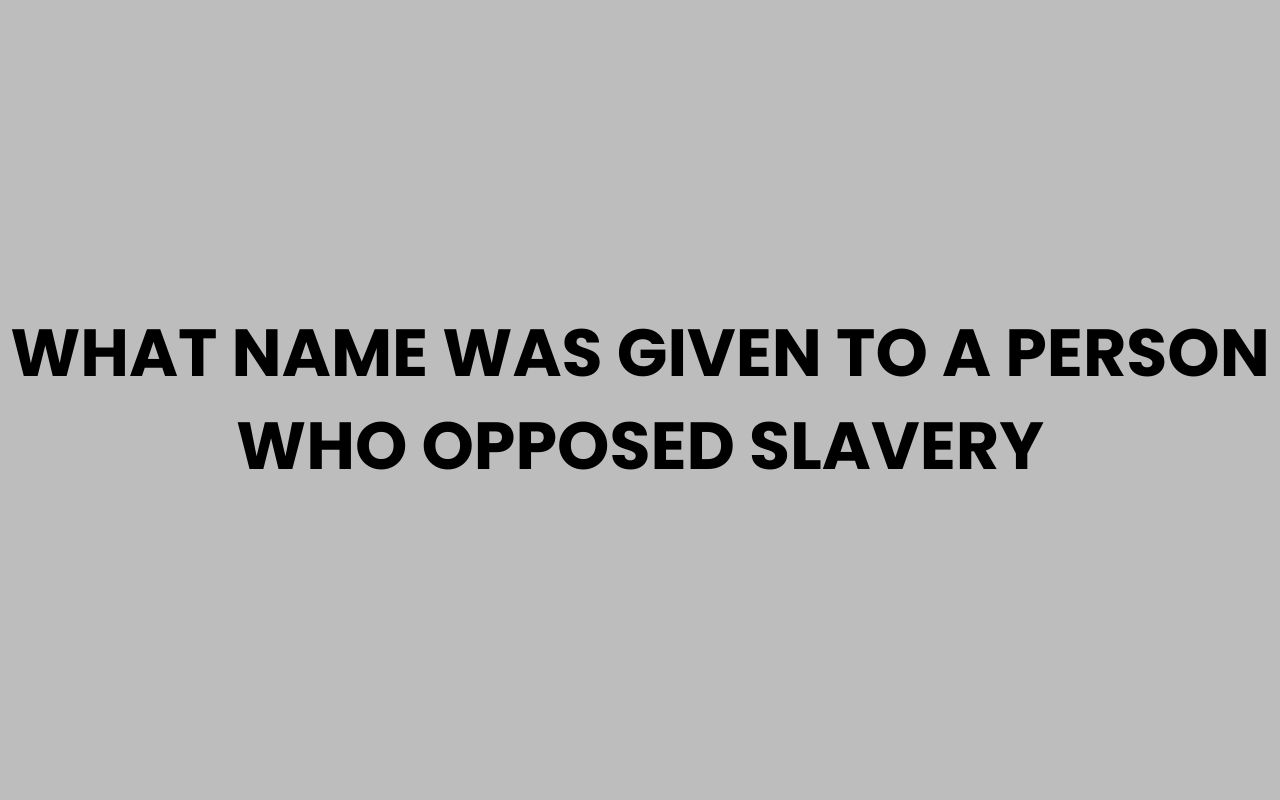 what name was given to a person who opposed slavery