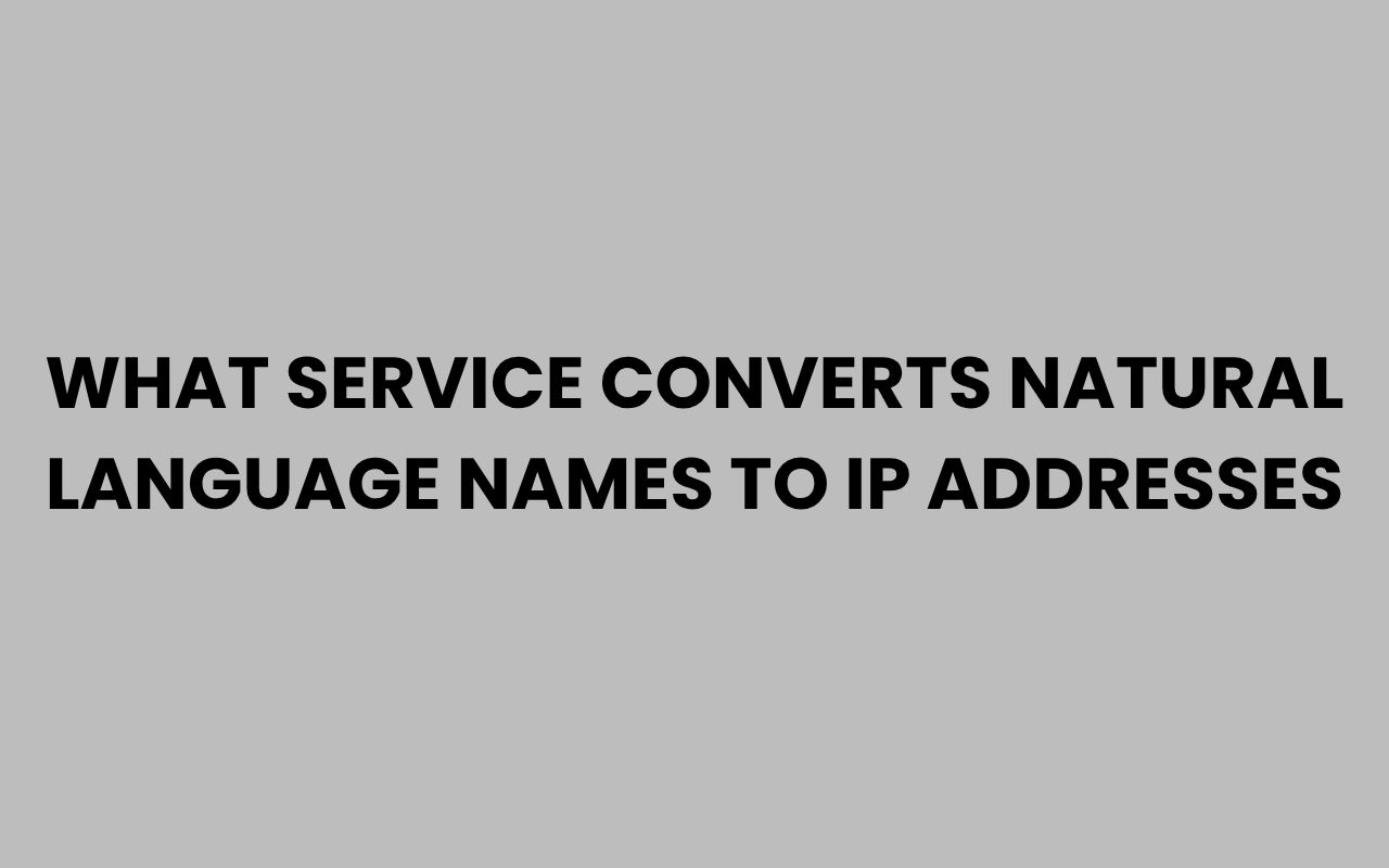 what service converts natural language names to ip addresses