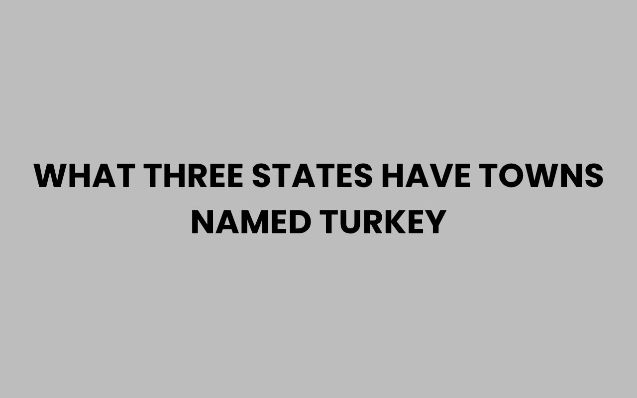 what three states have towns named turkey