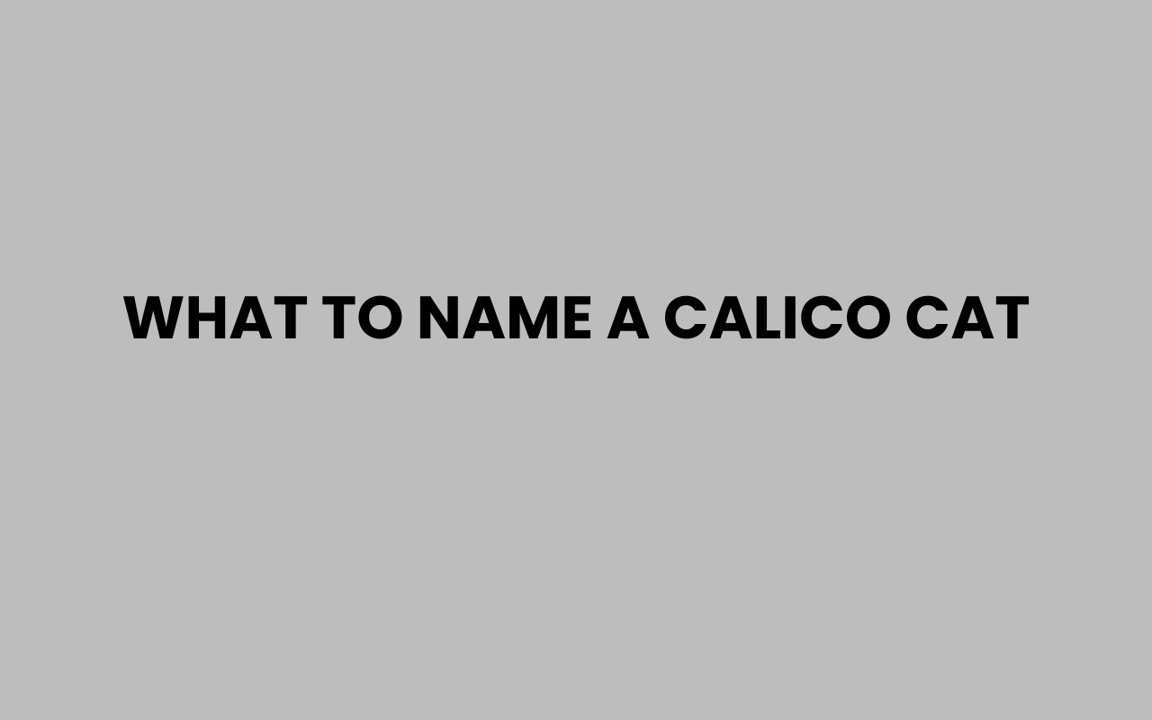 what to name a calico cat