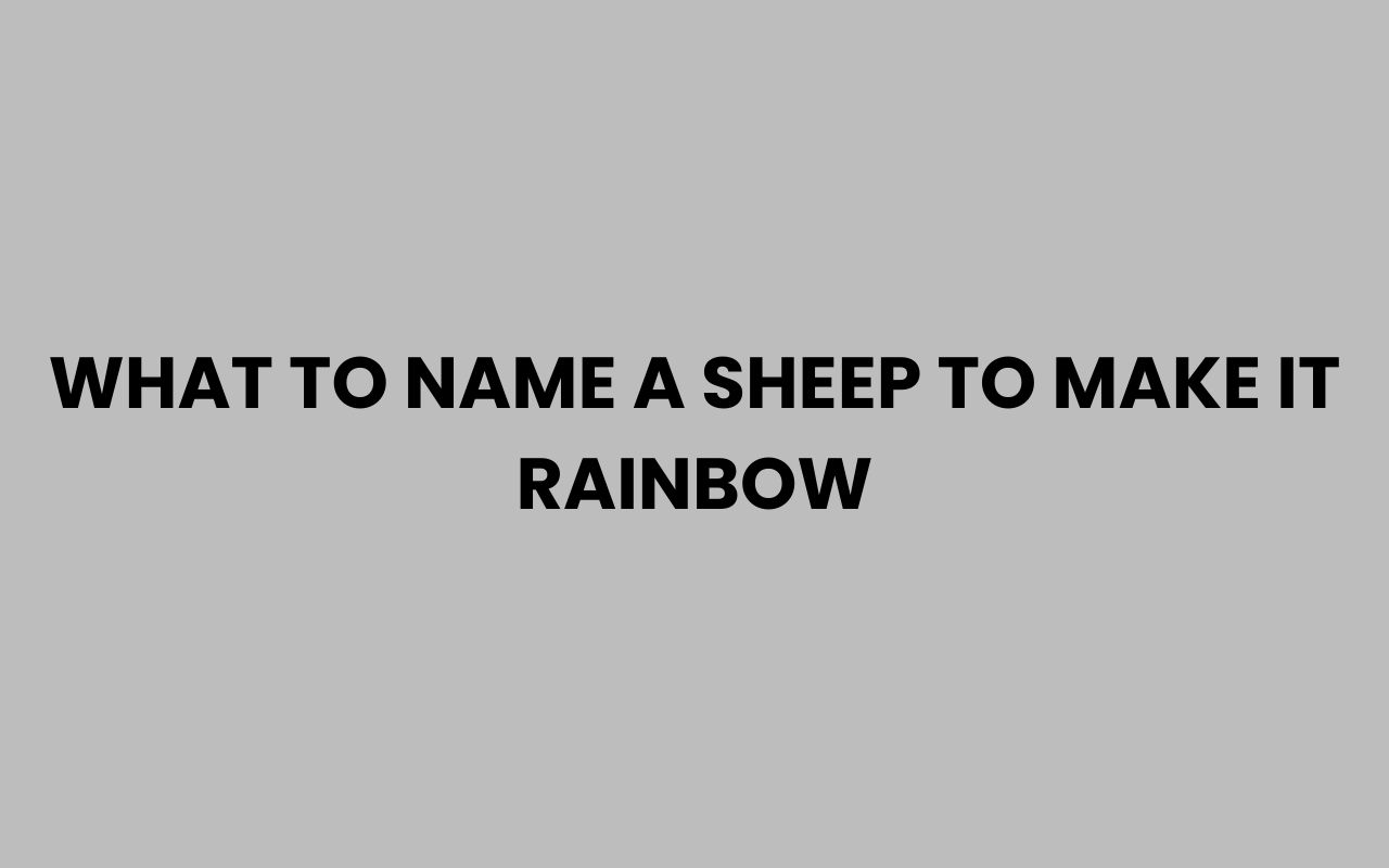 what to name a sheep to make it rainbow