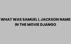 What Was Samuel L Jackson’s Name in Django Explained