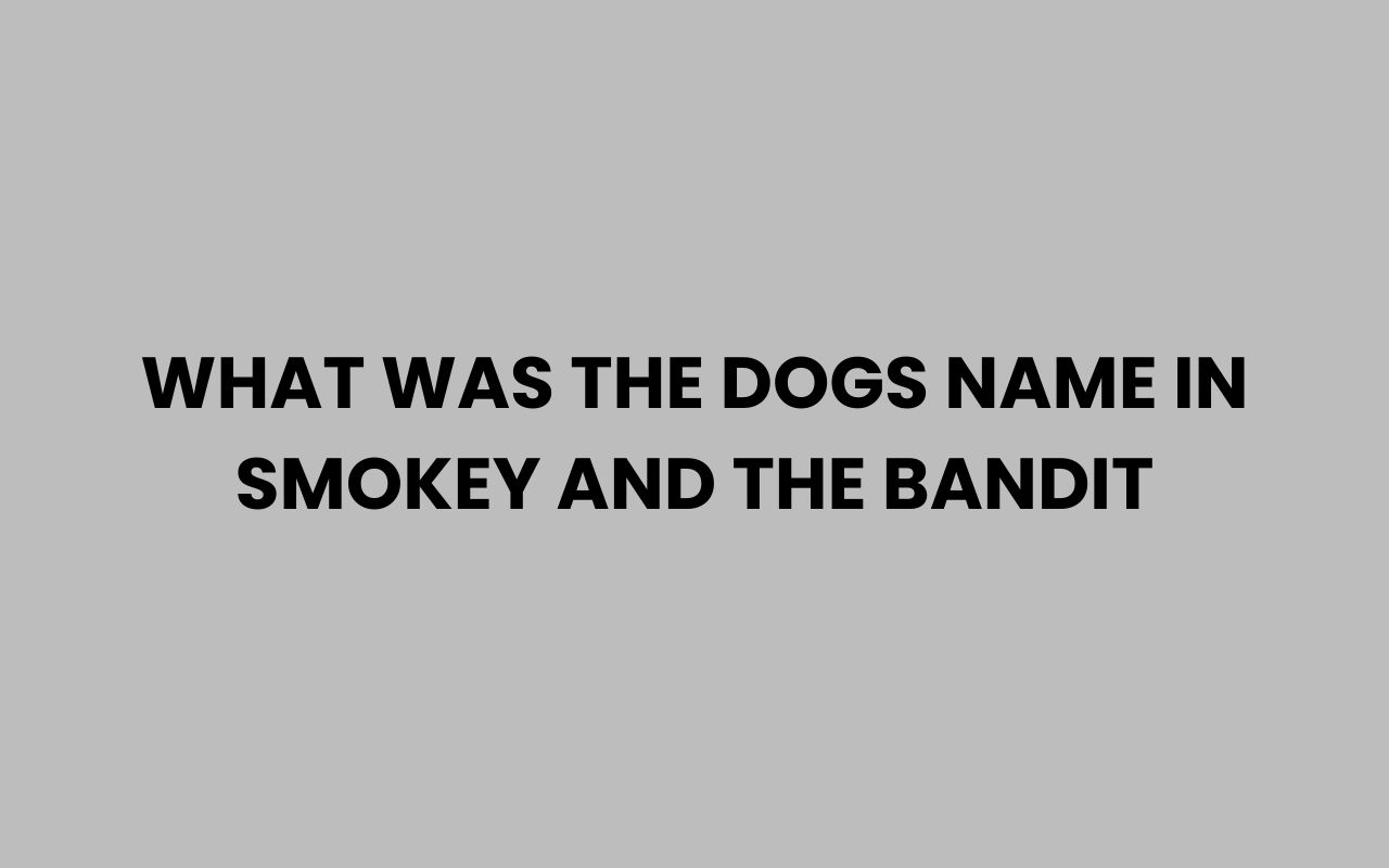 what was the dogs name in smokey and the bandit