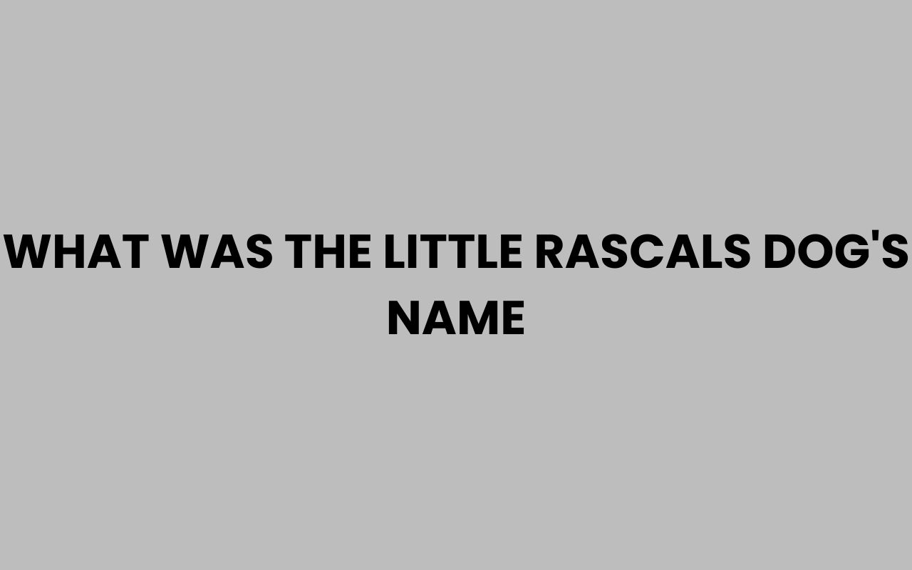 what was the little rascals dogs name