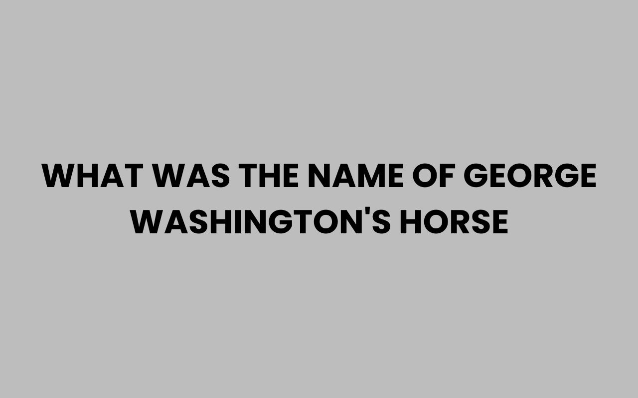 what was the name of george washingtons horse