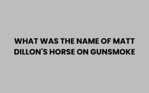 What Was the Name of Matt Dillon's Horse on Gunsmoke?