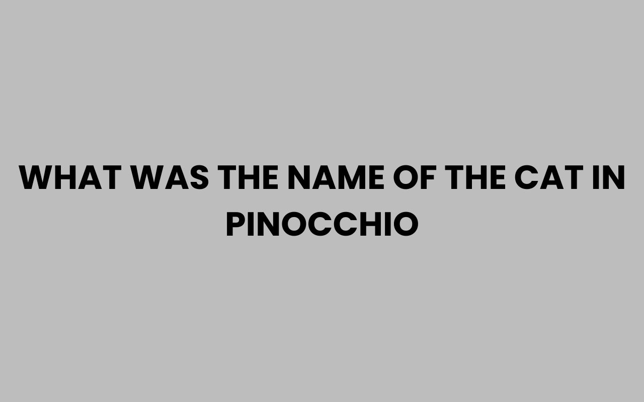 what was the name of the cat in pinocchio