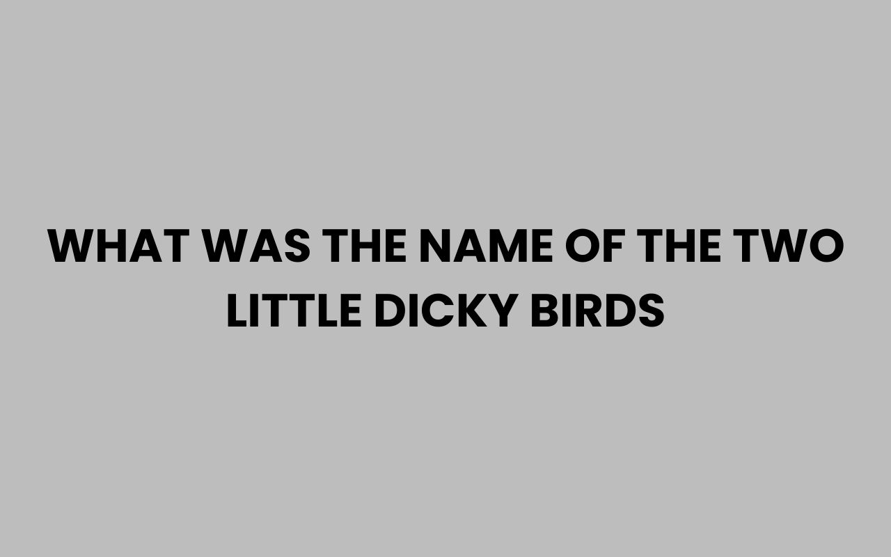 what was the name of the two little dicky birds