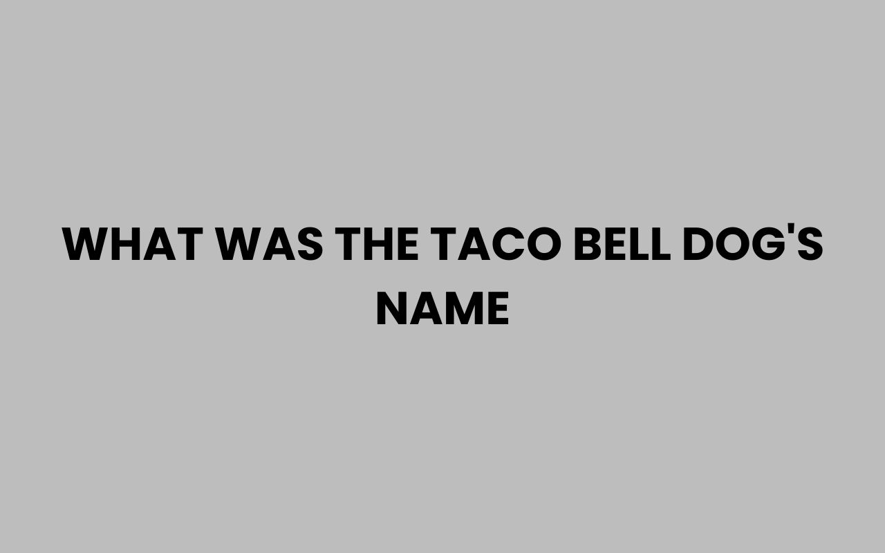 what was the taco bell dogs name