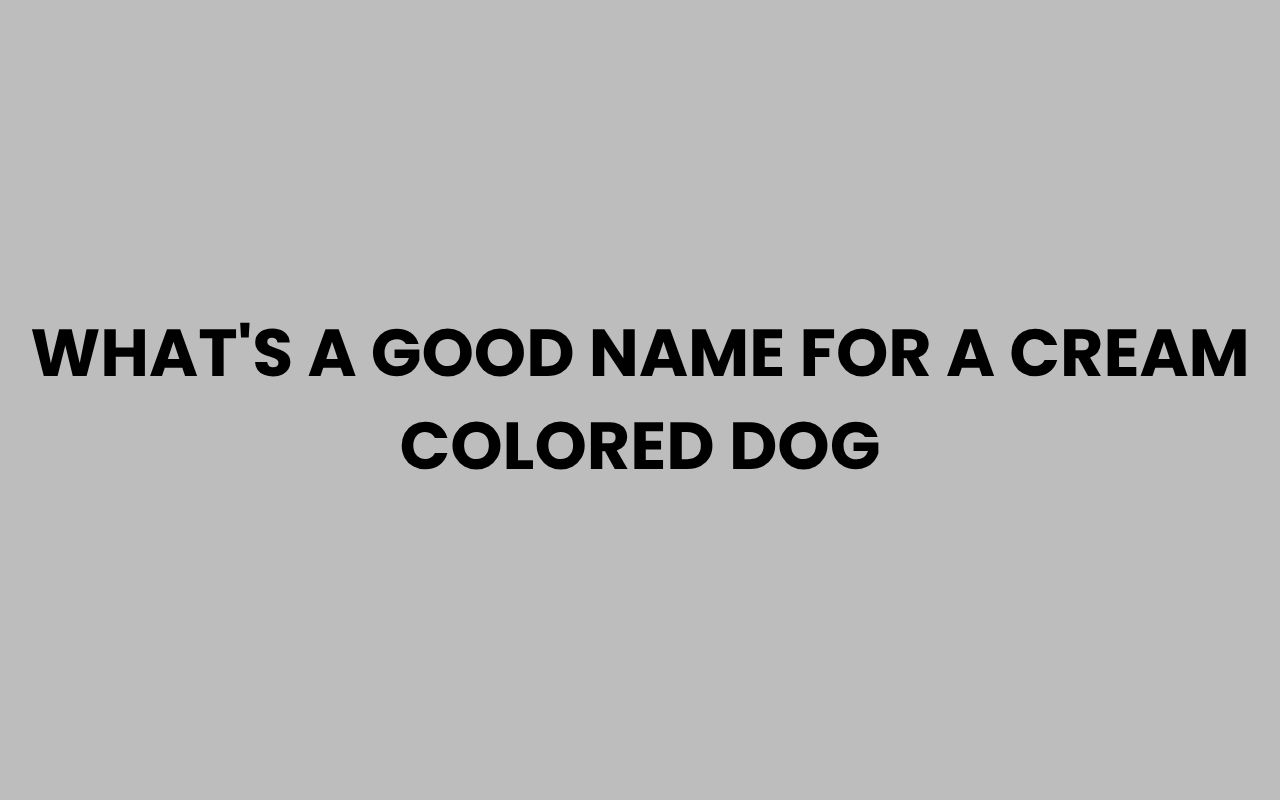 whats a good name for a cream colored dog