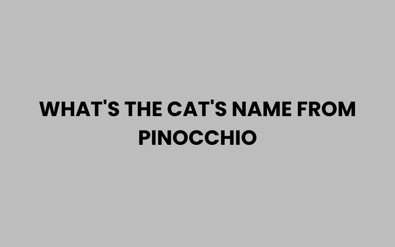 whats the cats name from pinocchio