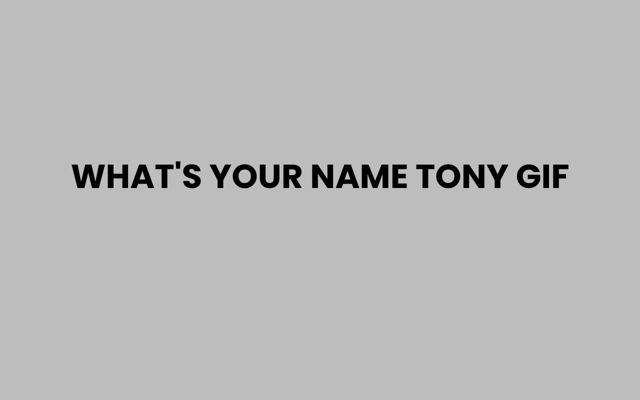 whats your name tony gif