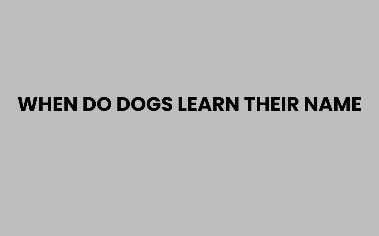 when do dogs learn their name
