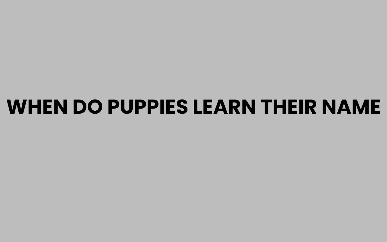 when do puppies learn their name