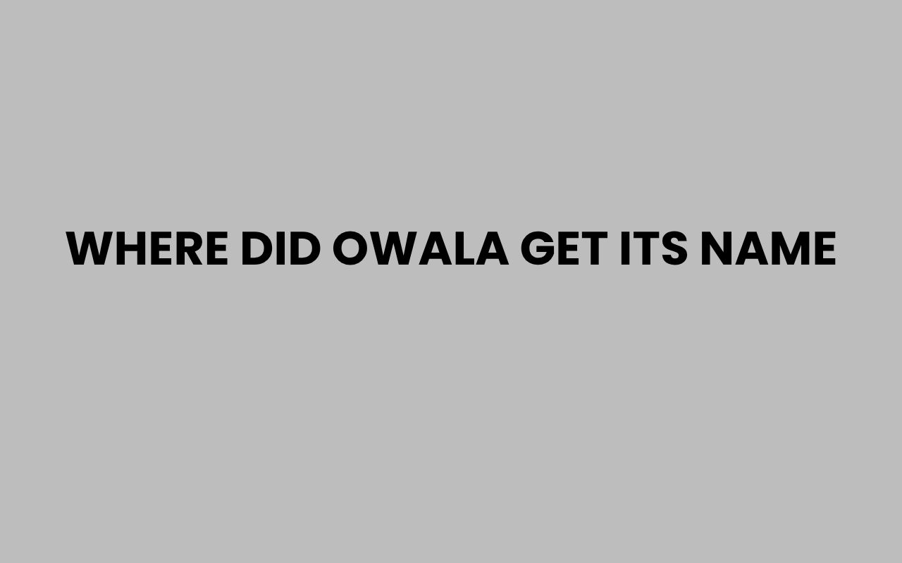 where did owala get its name