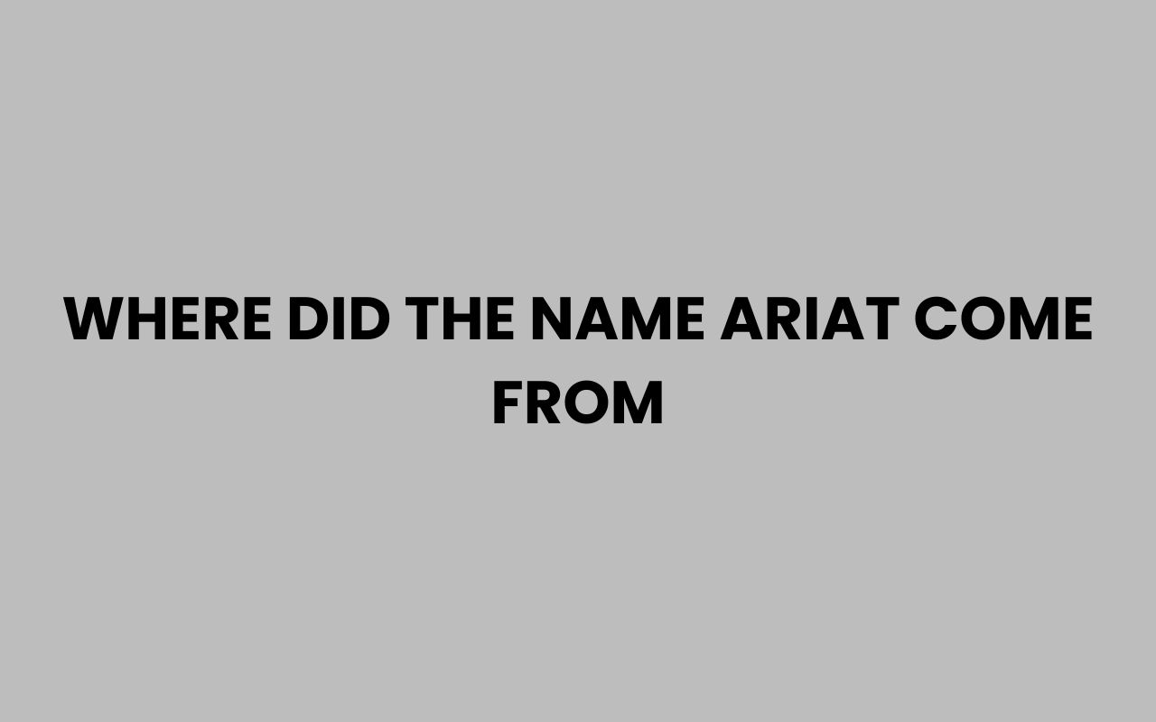 where did the name ariat come from