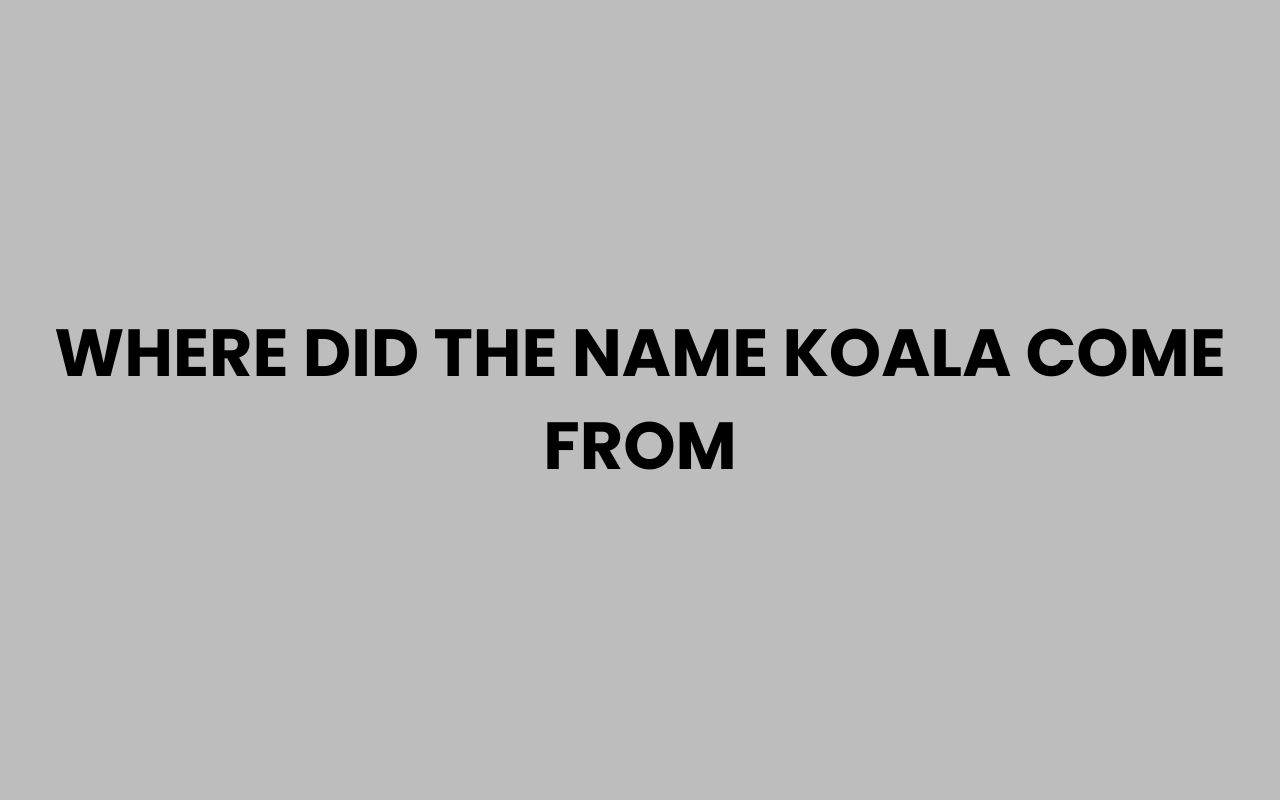 where did the name koala come from