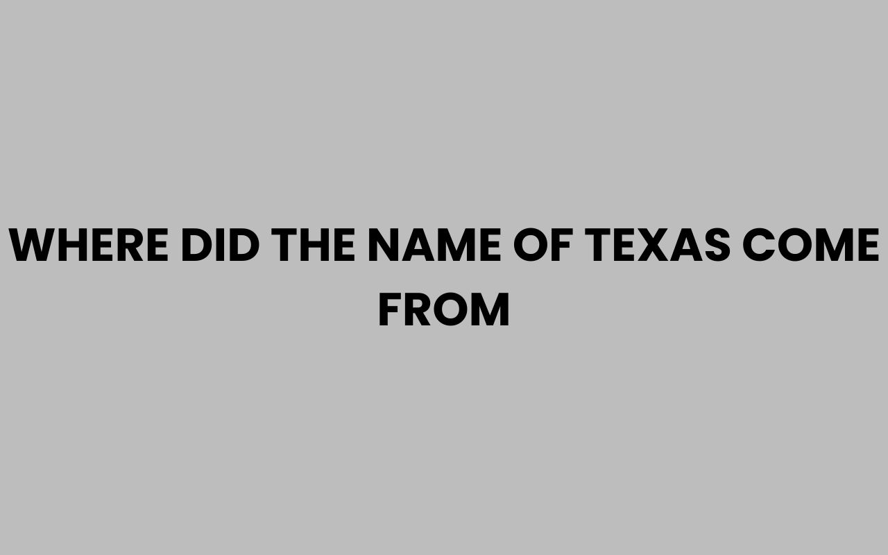 where did the name of texas come from