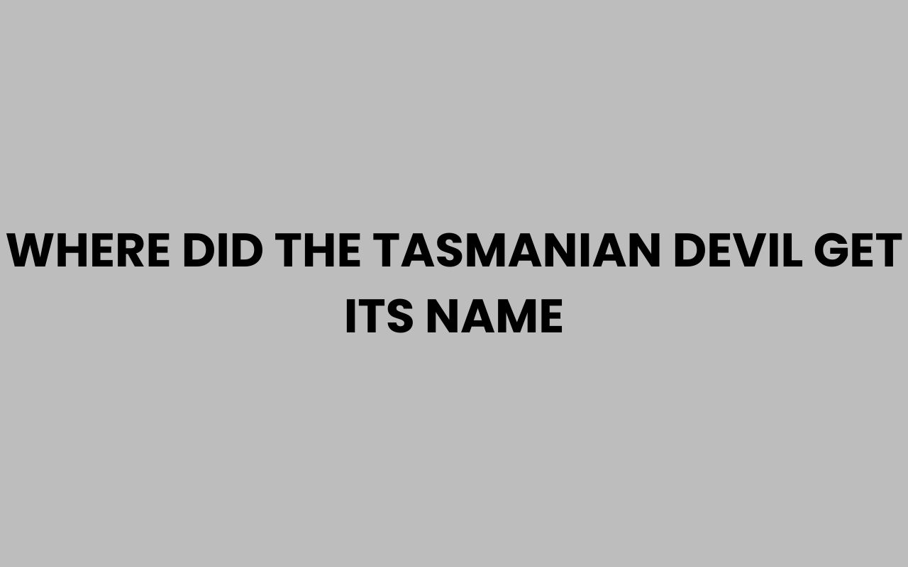 where did the tasmanian devil get its name