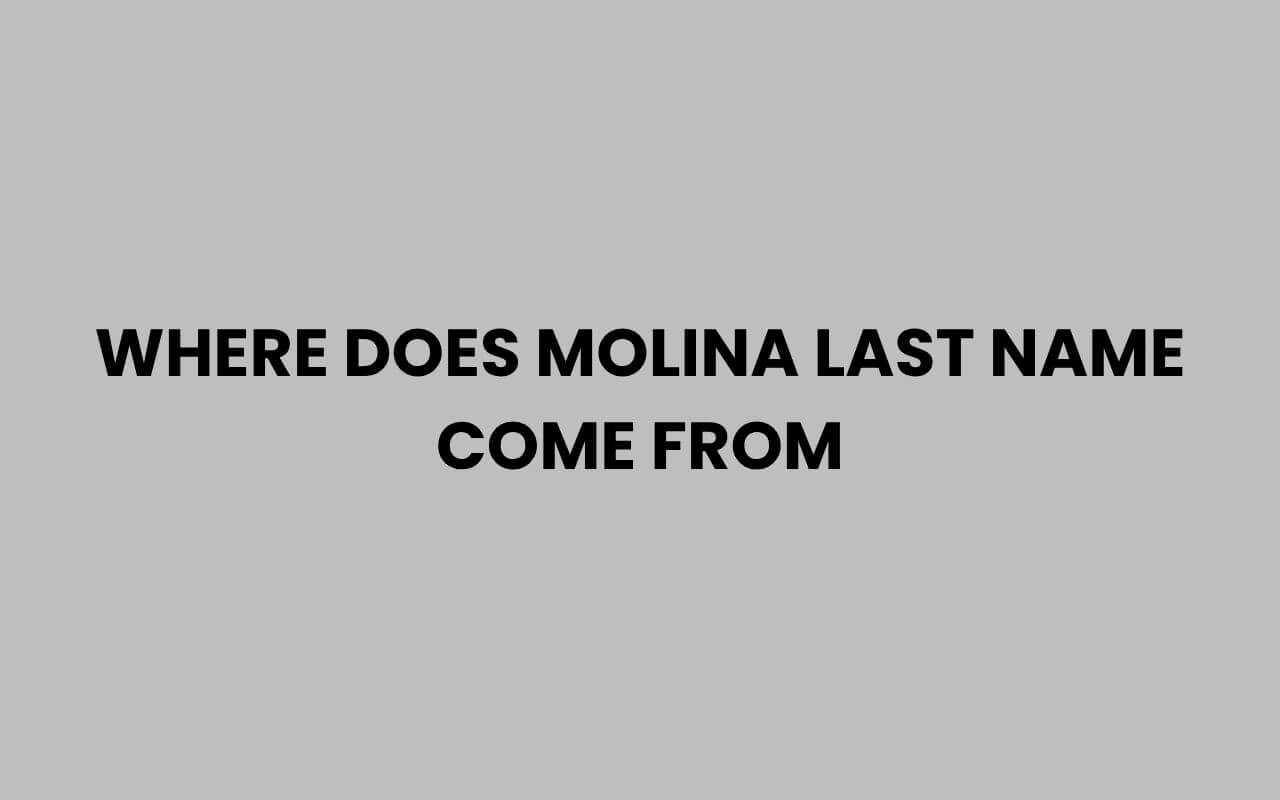 where does molina last name come from